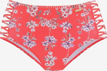 SUNSEEKER Bikinihose 'Ditsy' in Orange: Vorderseite