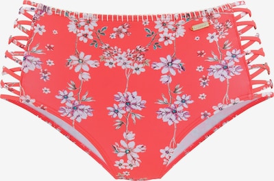 SUNSEEKER Bikinihousut 'Ditsy' värissä petrooli / orkkidea / koralli / valkoinen, Tuotenäkymä