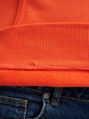 WEM Fashion Zip-Up Hoodie 'Spell' in Orange