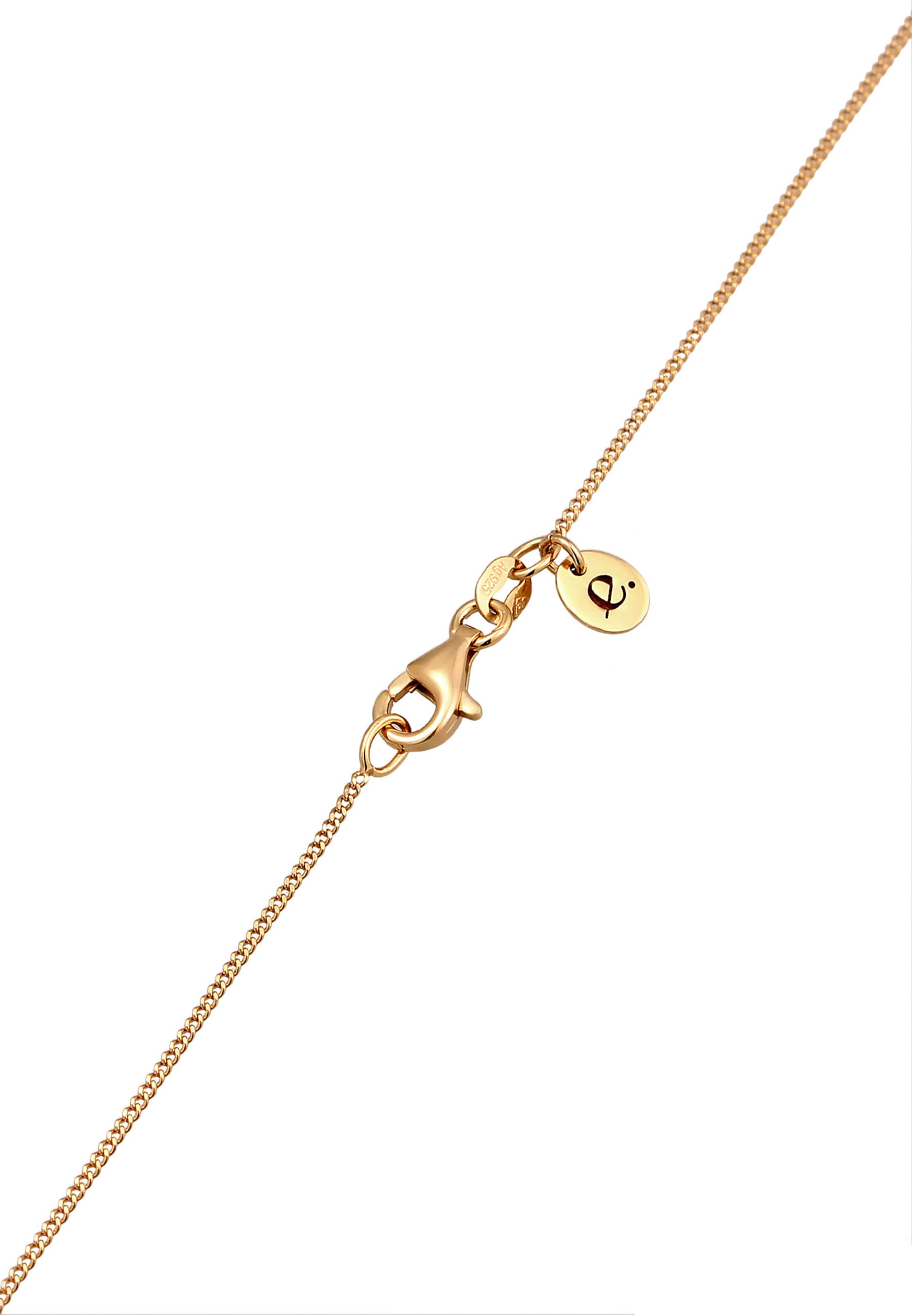 Elli DIAMONDS Ketting in Goud
