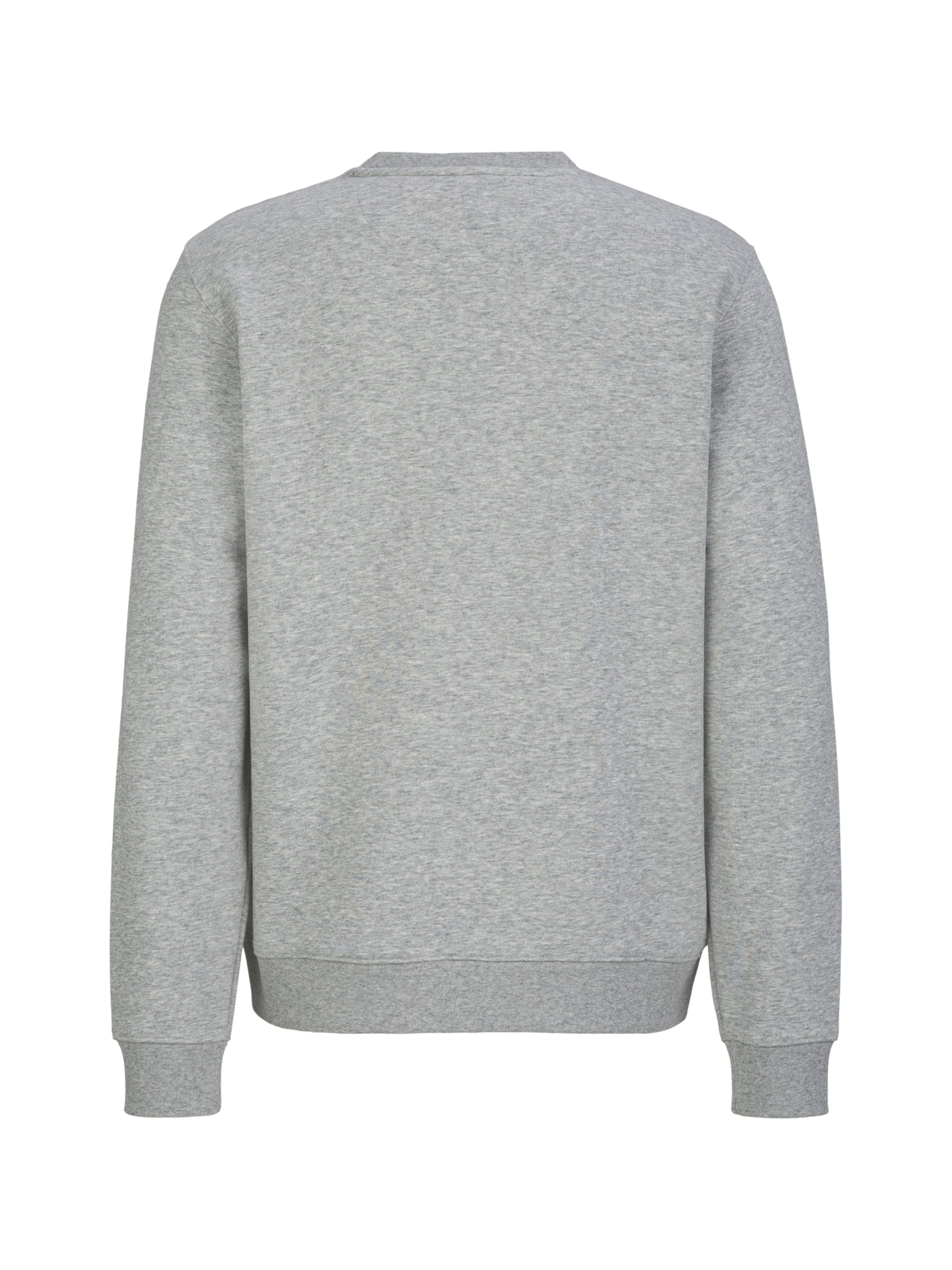 19V69 ITALIA Sweatshirt ' Nico Wintersports 2 ' in Grey