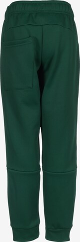 Effilé Pantalon de sport ADIDAS PERFORMANCE en vert
