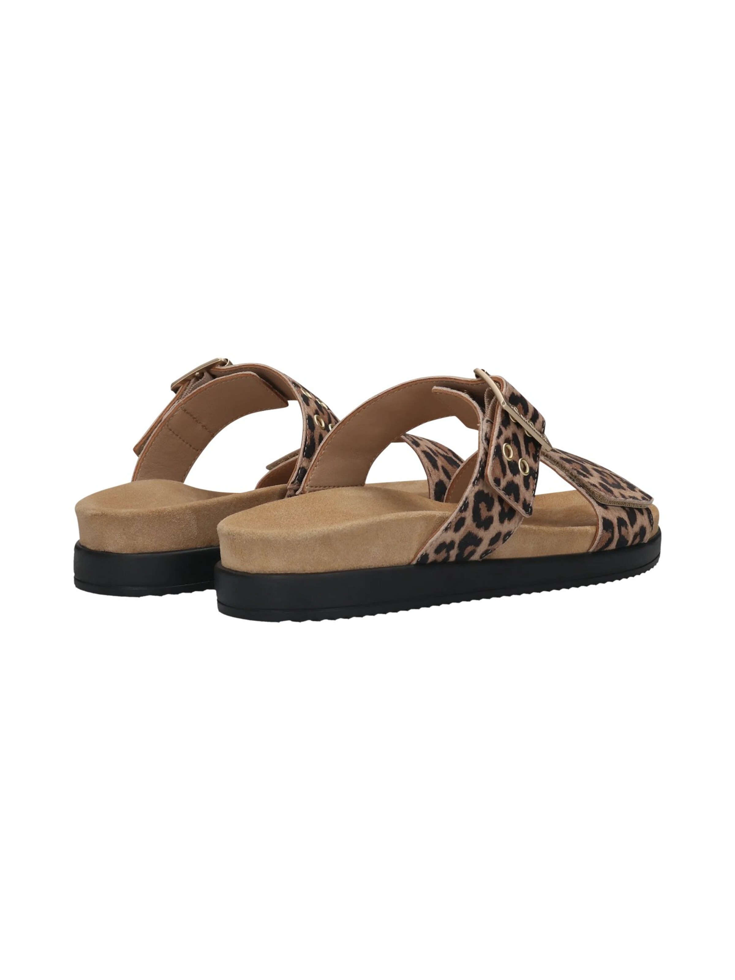SALAMANDER Mules in Brown