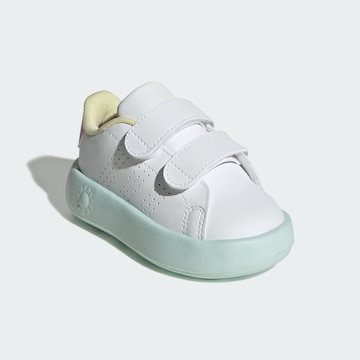 ADIDAS ORIGINALS Trainers 'Advantage' in White