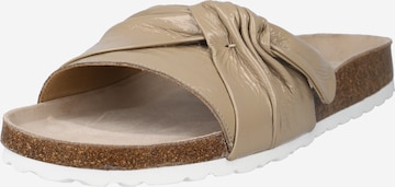 BULLBOXER Pantolette in Beige: predná strana