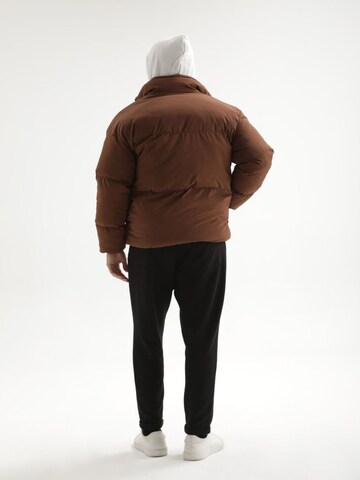 Antioch Between-season jacket in Brown