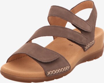 GABOR Sandals in Brown: front