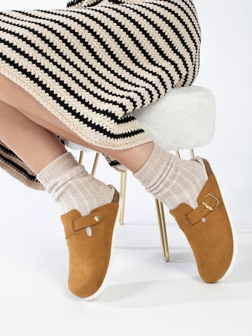 Bayton Dreváky - Hnedá