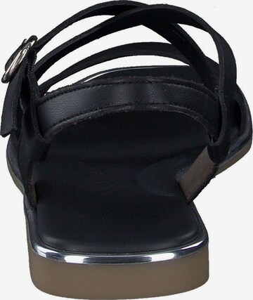 Paul Green Strap Sandals in Black