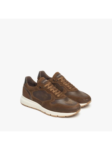 Nero Giardini Sneakers laag 'Colorado Noxos Delave' in Bruin