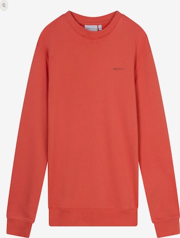 AMBIQUE Sweater 'KRIS' in Orange: front