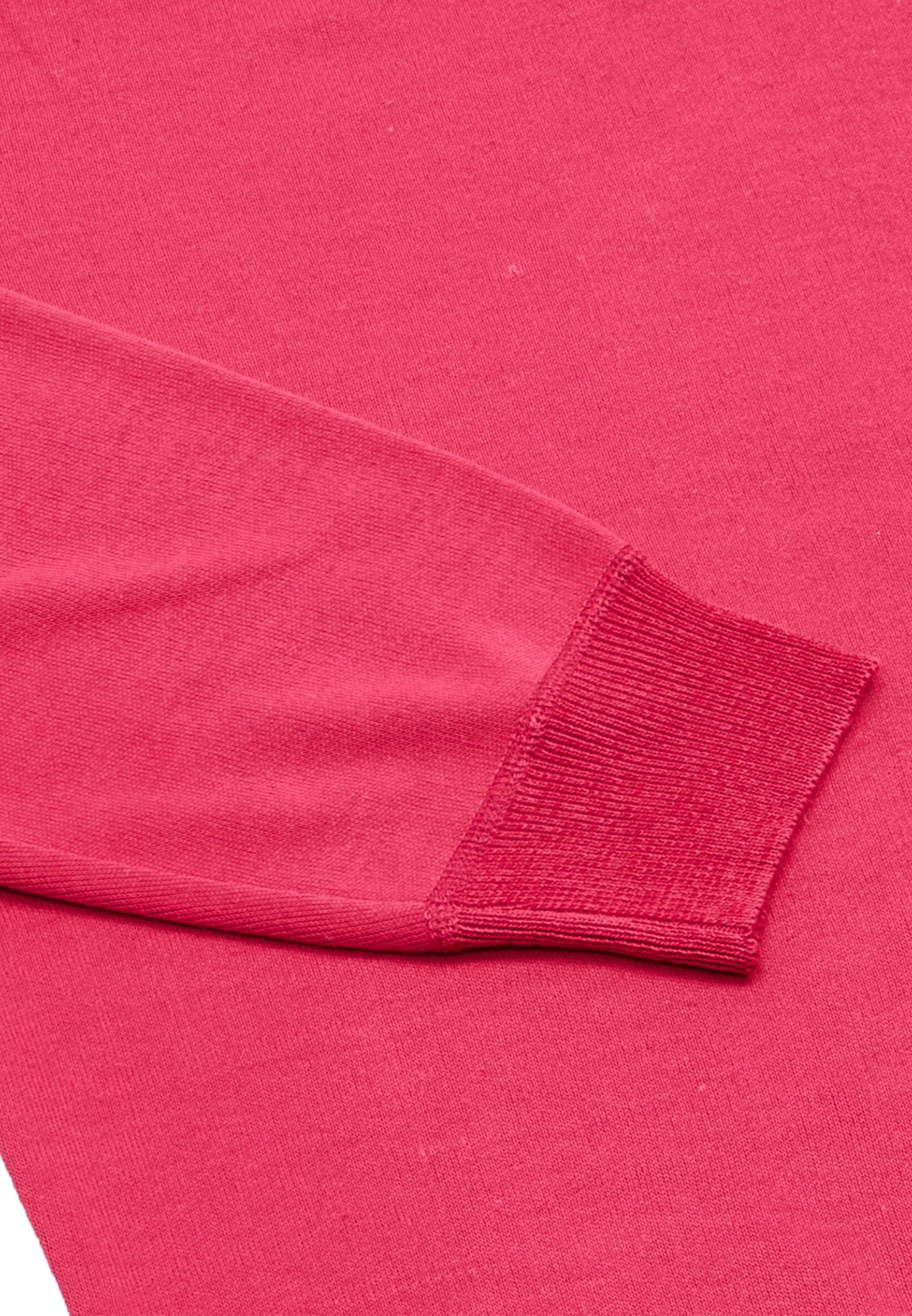 aleva Sweater in Pink