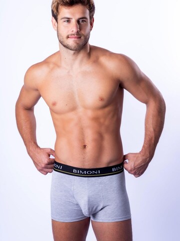 BIMONI Boxershorts in Grau