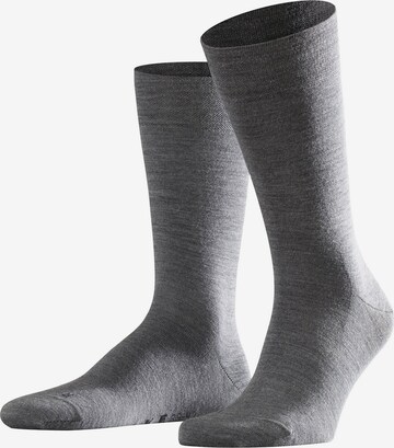 FALKE Socks in Grey: front