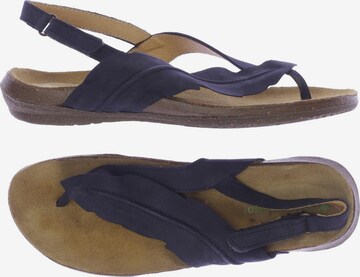 EL NATURALISTA Sandalen 39 in Blau: predná strana