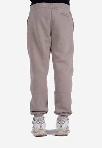 Loosefit Pantaloni di Prohibited in grigio