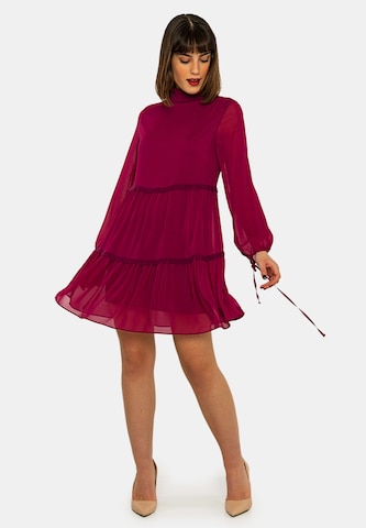 Robe Jimmy Sanders en rose