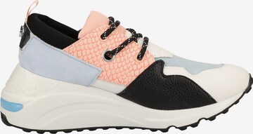 STEVE MADDEN Sneakers laag in Gemengde kleuren