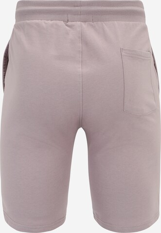 Only & Sons Regular Pants 'NEIL' in Purple