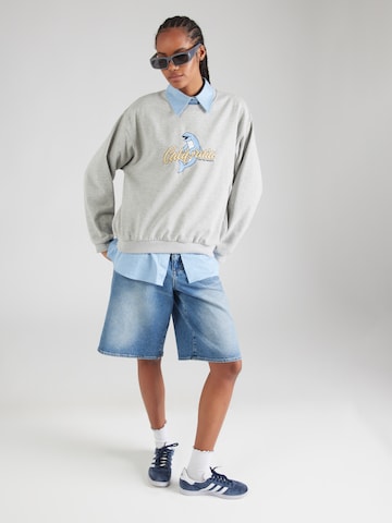 Kaotiko Sweatshirt 'FLIPPER' i grå