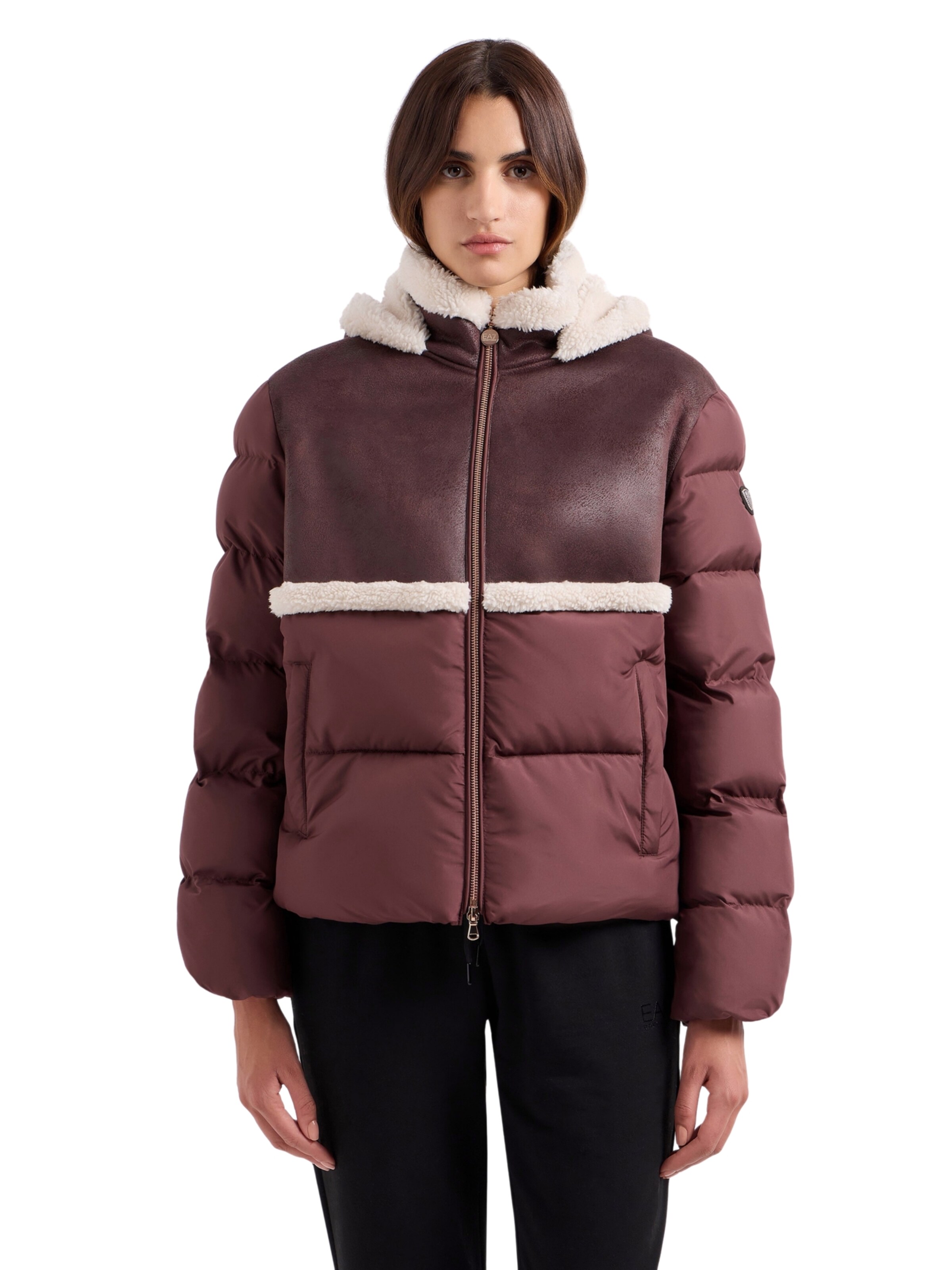EA7 Emporio Armani Winter jacket in Brown: front