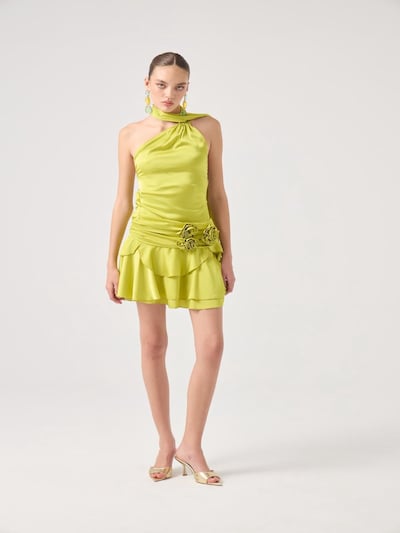 HOLLY LOLLY Robe de cocktail en 40 en pomme, Vue avec produit