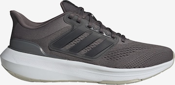 Chaussure de course 'Ultrabounce' ADIDAS PERFORMANCE en marron