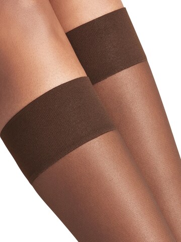 FALKE Knee High Socks 'Pure Matt' in Brown