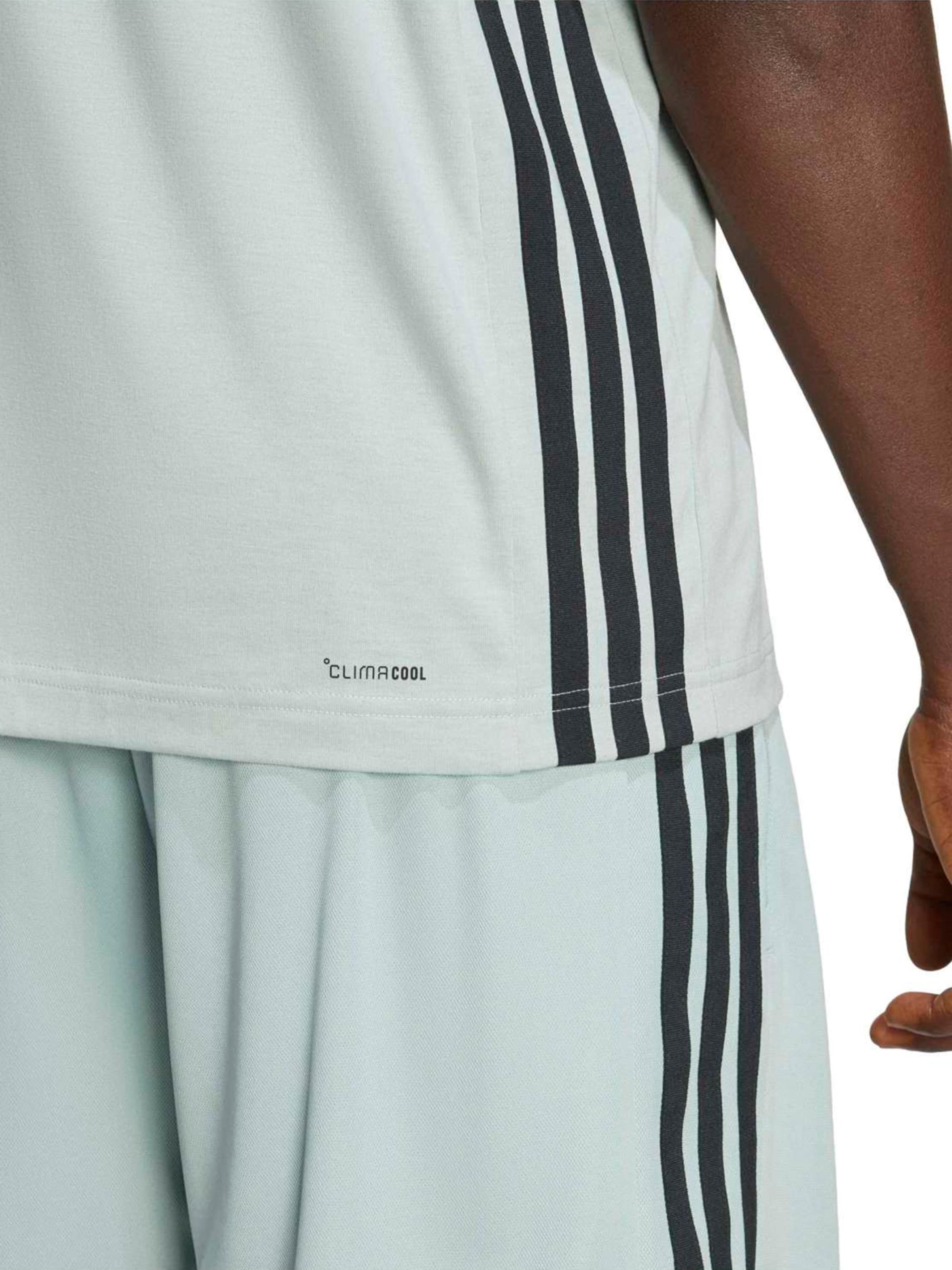 ADIDAS SPORTSWEAR - Camiseta funcional 'WE' en verde