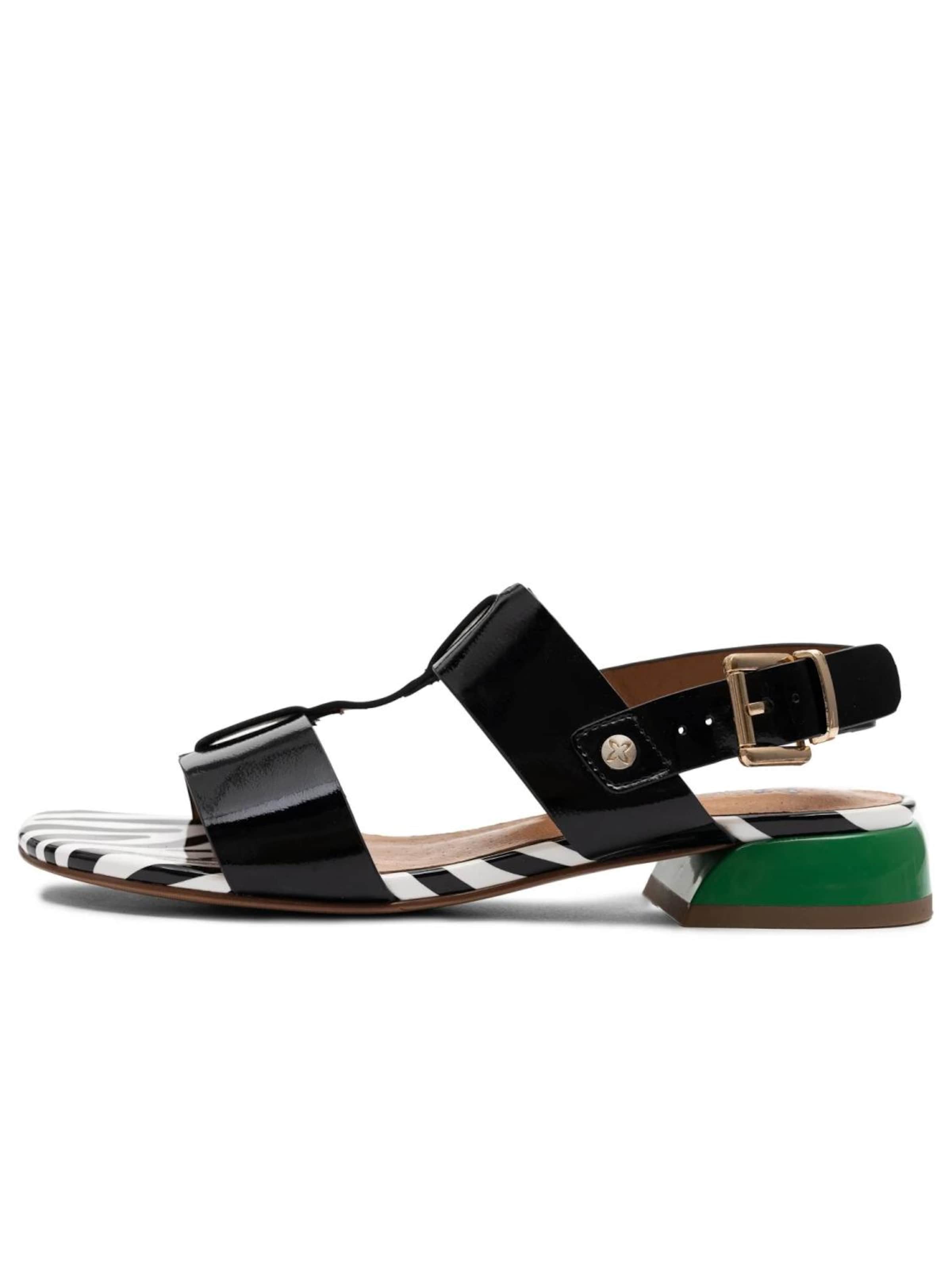 Maciejka Sandals in Black: front