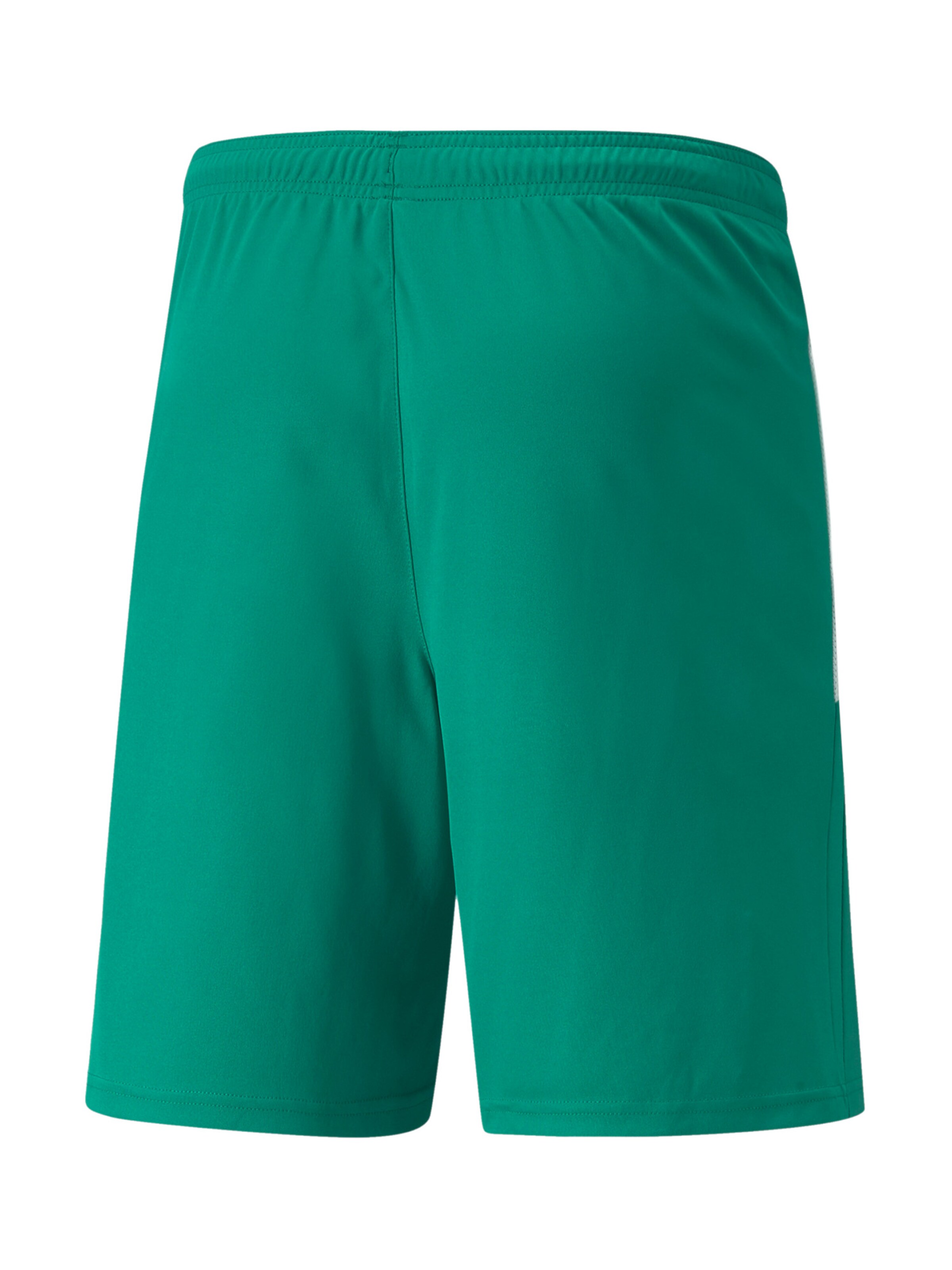 PUMA Regular Workout Pants in Green