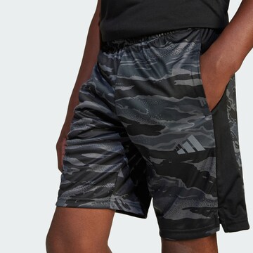 Regular Pantalon de sport 'Essentials' ADIDAS SPORTSWEAR en noir : devant