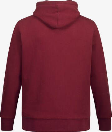 JAY-PI Sweatshirt in Rot
