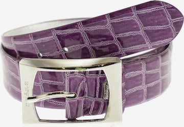 Vera Pelle Belt in One size in Purple: front