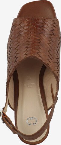 GERRY WEBER SHOES Sandals 'Sabrina 05' in Brown