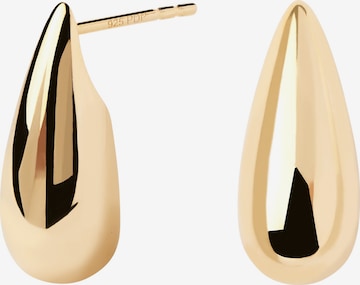 P D PAOLA Earrings in Gold: front