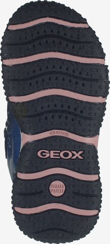 GEOX Sneaker in Blau