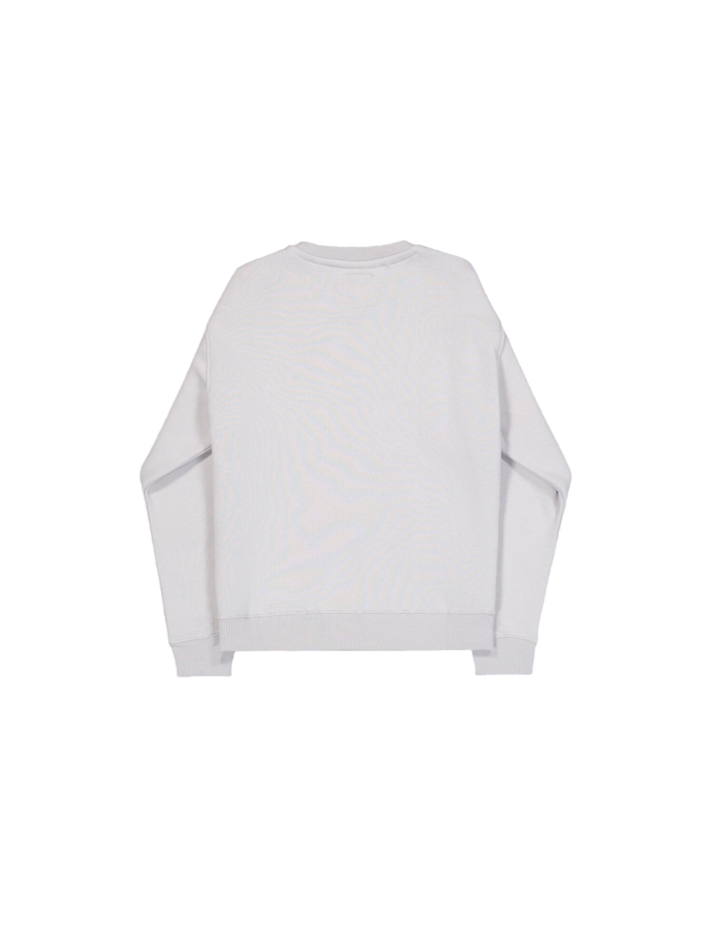 ALPHA INDUSTRIES Sweatshirt 'RP'‌‌‌‌‌‌‌‌ in Grau