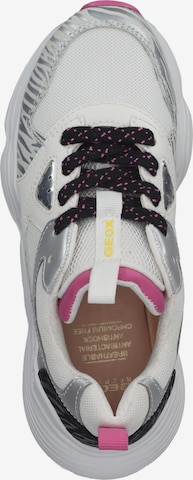 GEOX Sneakers in Mixed colors