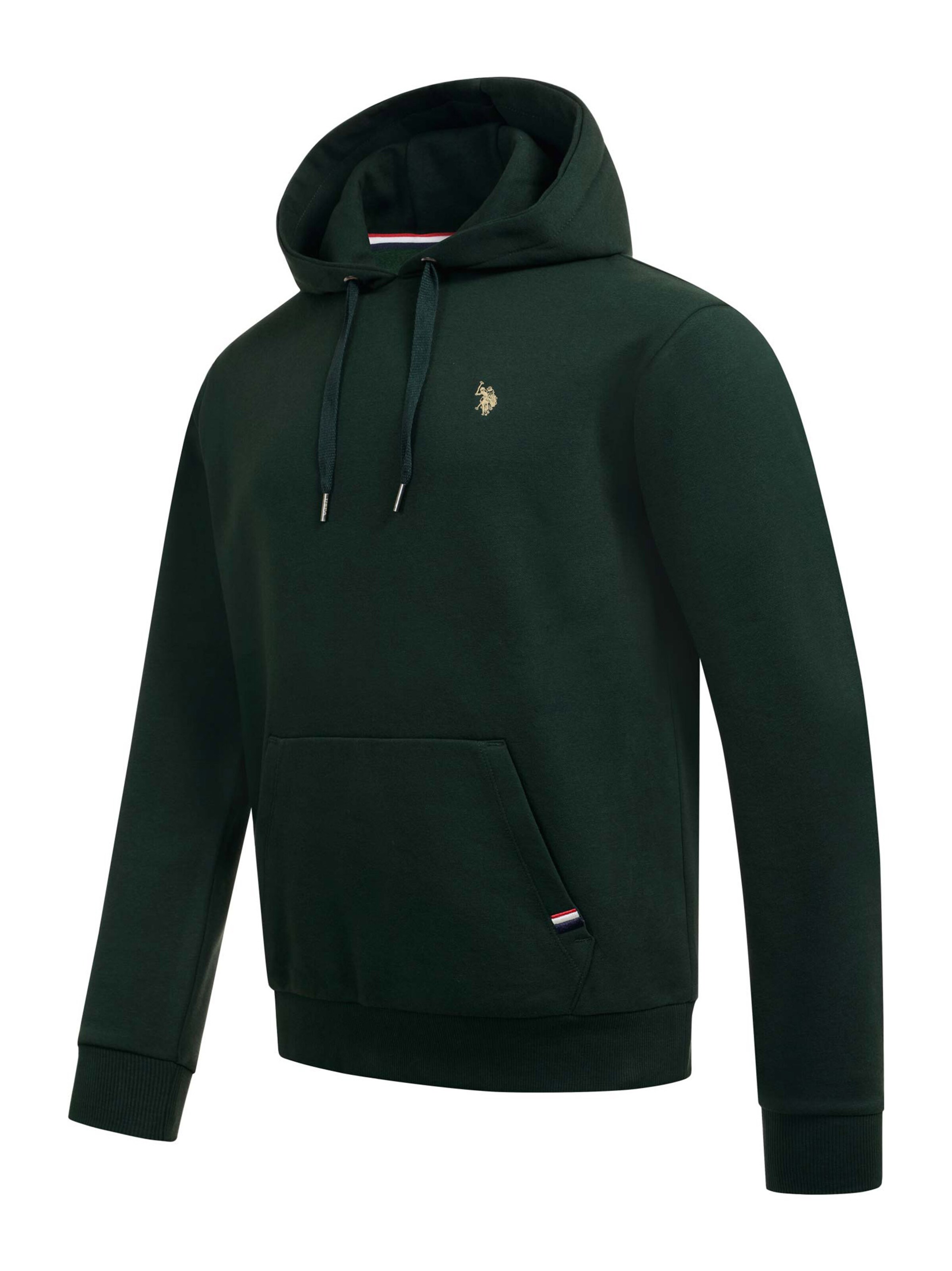 U.S. POLO ASSN. Sweatshirt in Green