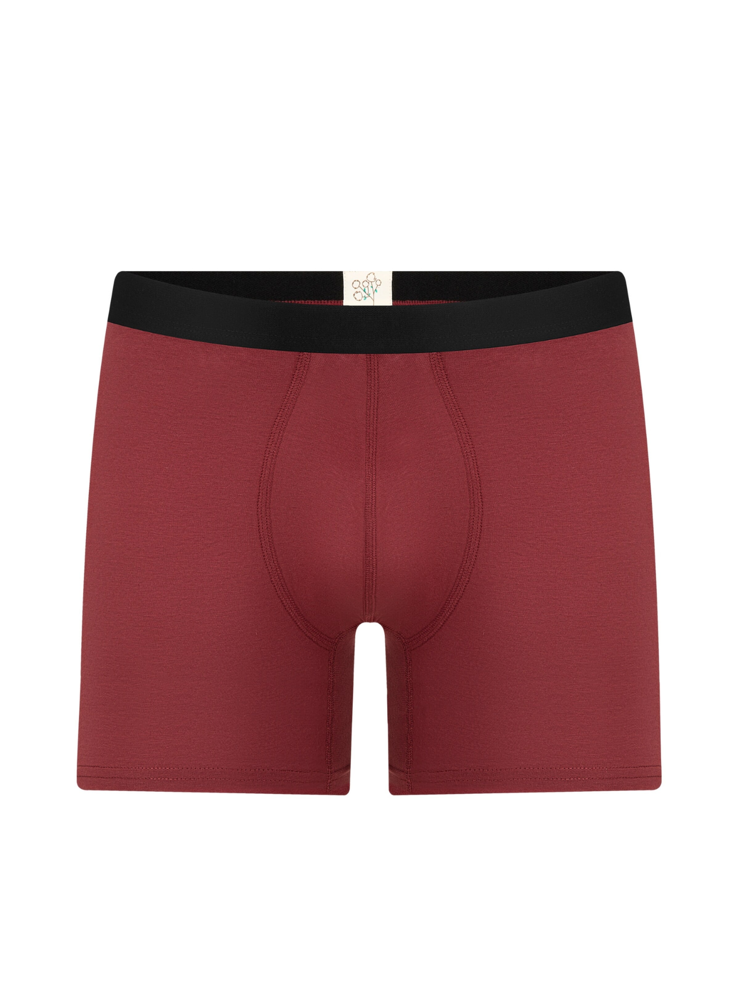 Albero Natur Long Johns 'Bio-Baumwoll-Herren Long Trunks' in Red: front