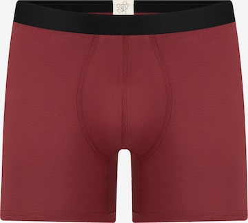 Albero Natur Long Johns 'Bio-Baumwoll-Herren Long Trunks' in Red: front