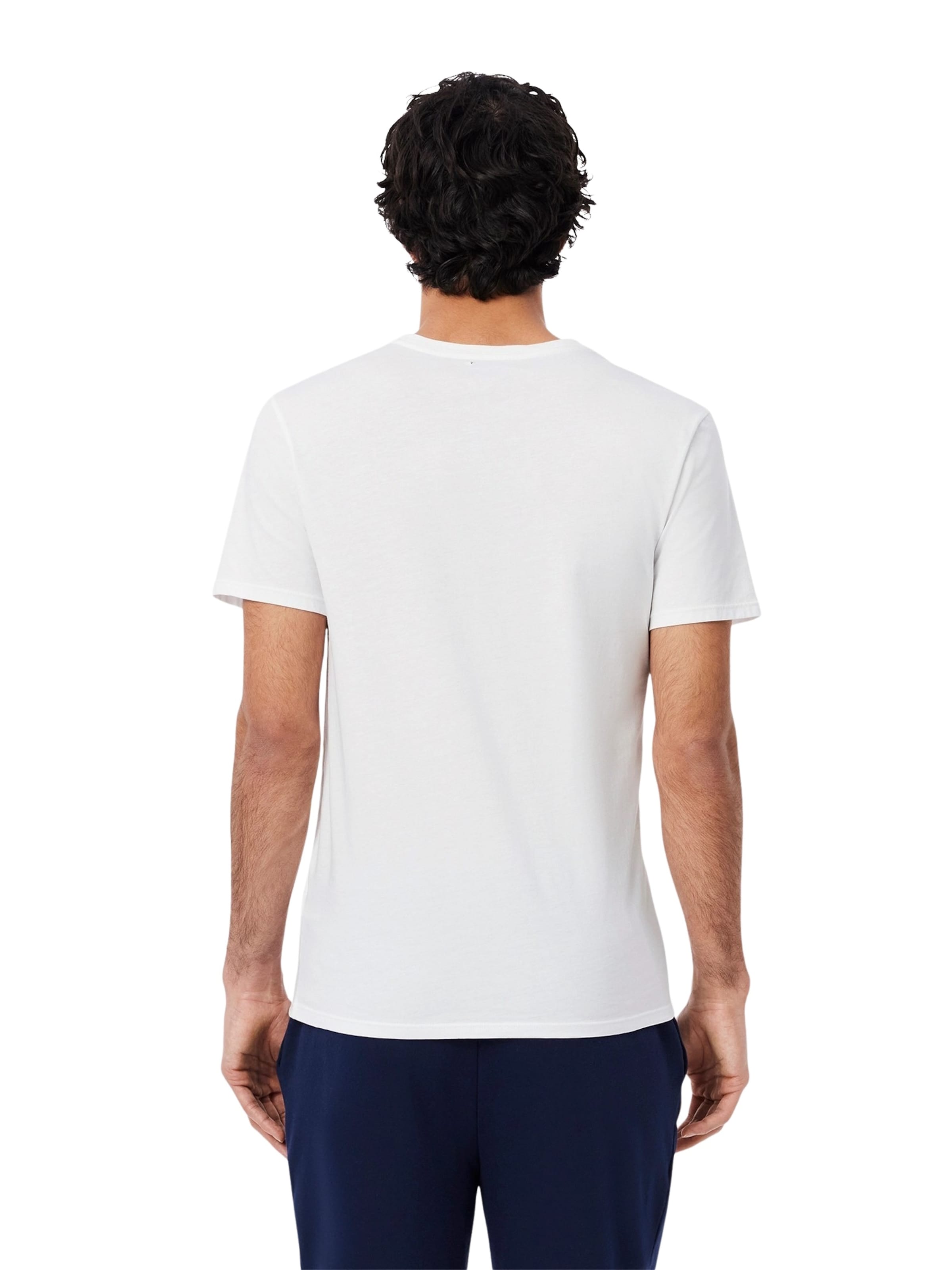LACOSTE Shirt in Grey
