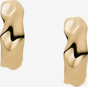 SKAGEN Ohrringe in Gold: Vorderseite
