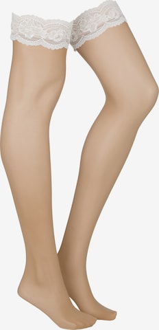 Hunkemöller Overknee Strümpfe in Weiß: Vorderseite