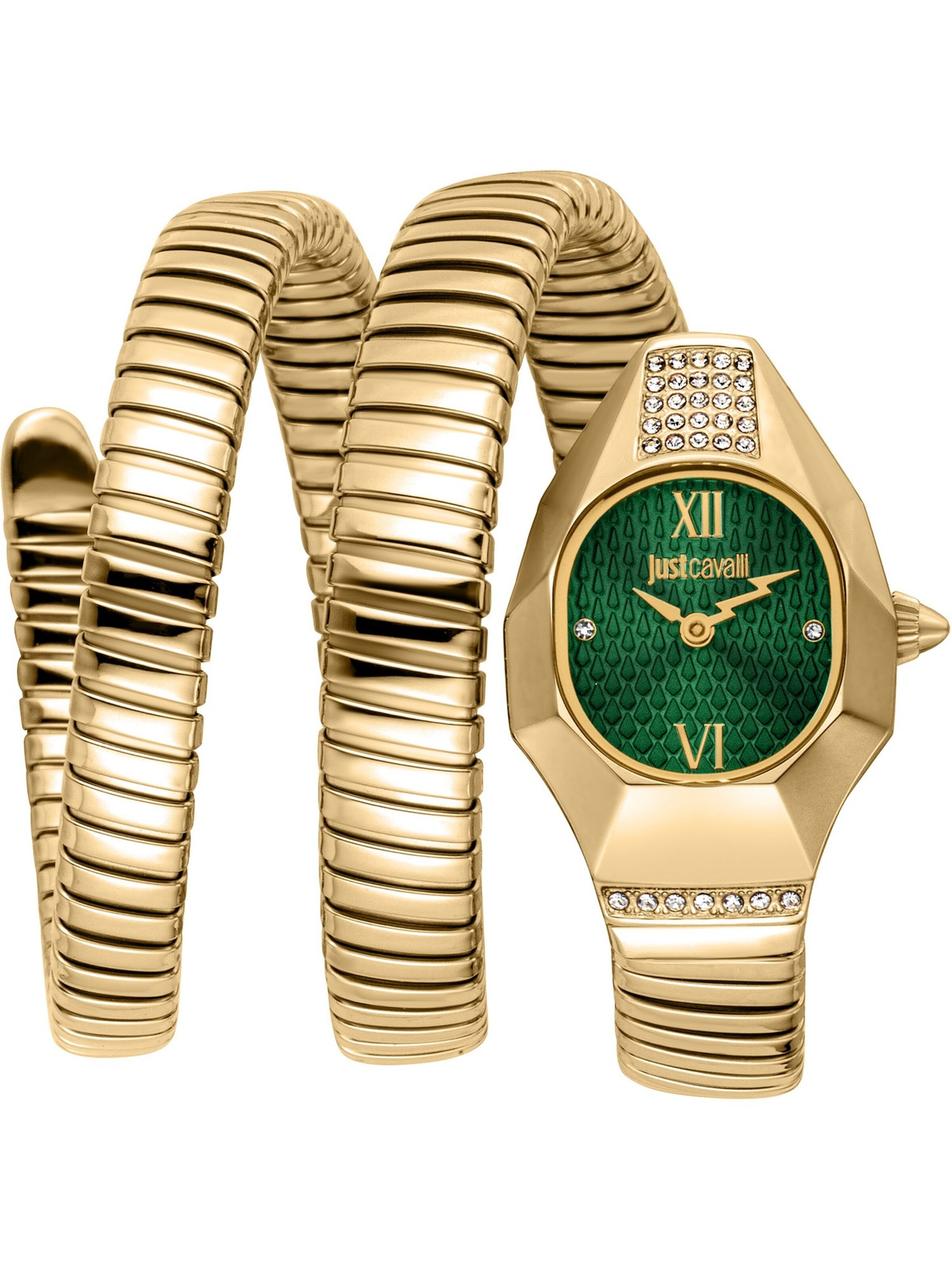 Just Cavalli Time Analog Watch in Gold: front