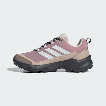 ADIDAS TERREX Low shoe 'Skychaser Ax5' in Purple