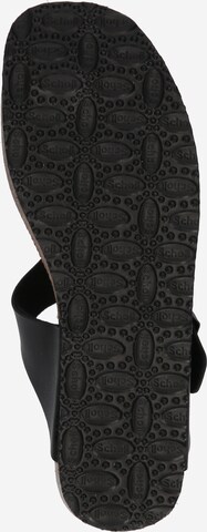 SCHOLL - Zapatos abiertos 'NOELLE 24' en negro
