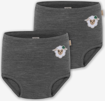 normani Unterhose 'Tokoroa' in Grau: Vorderseite