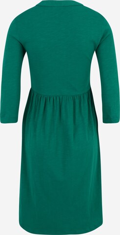 MAMALICIOUS Shirt dress 'Evi Lia' in Green